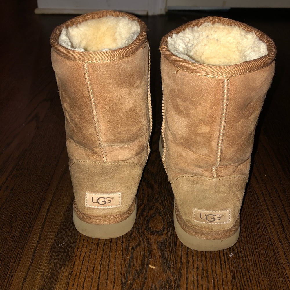 Uggs Chestnut - image 4